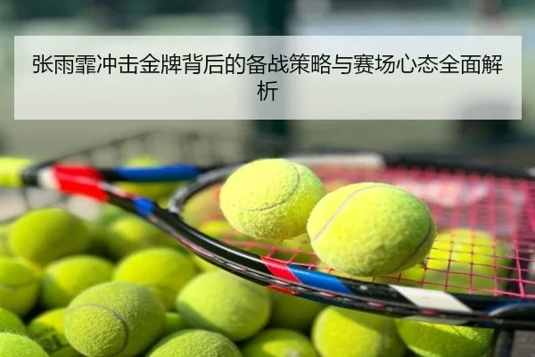张雨霏冲击金牌背后的备战策略与赛场心态全面解析